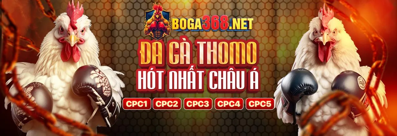 Trải nghiệm sòng bạc trực tiếp với dealer người thật tại rikvip
